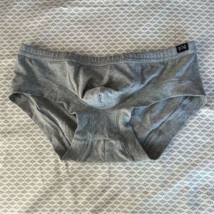 N2N Bodywear Grey Cotton Stretch Briefs Size Large NWT